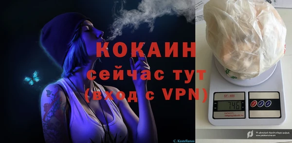 дживик Наволоки