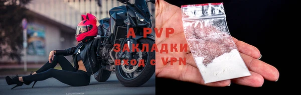 прущие крисы Зеленокумск