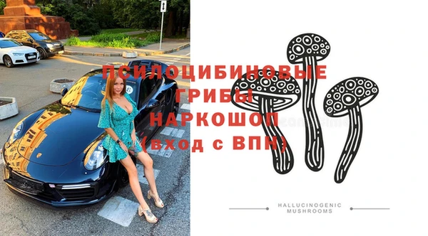 стафф Михайловка