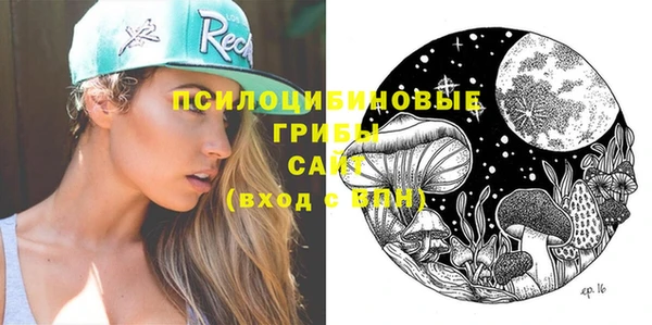 дживик Наволоки