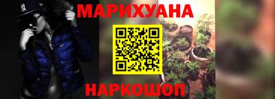 сатива Бийск