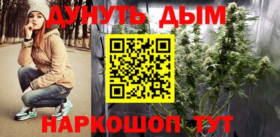 сатива Бийск