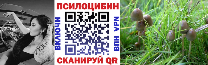 Псилоцибиновые грибы мицелий  Гурьевск 