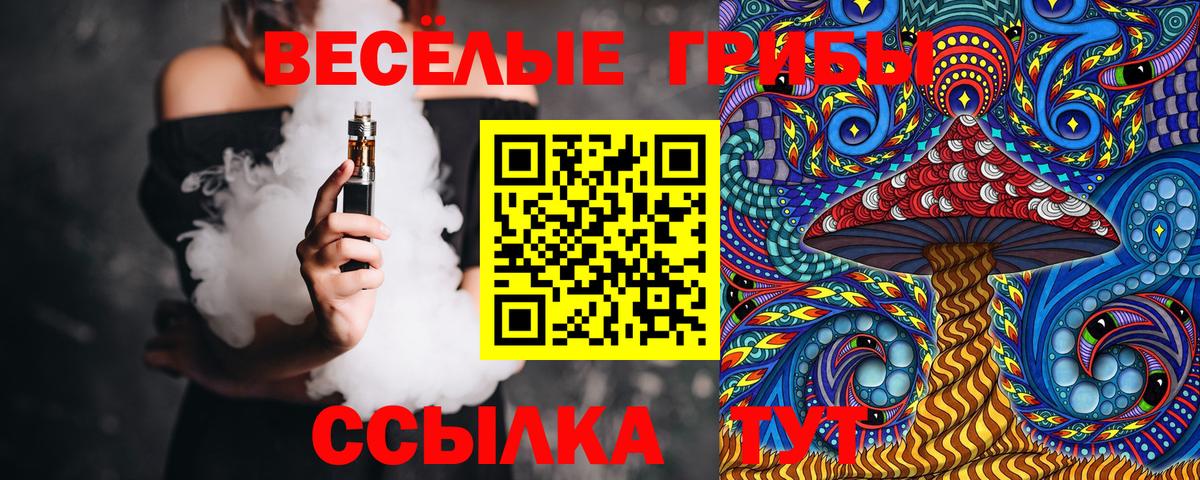 Гурьевск  Галлюциногенные грибы прущие грибы  Вход с VPN 