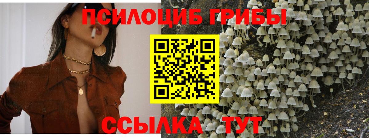  Кокаин Гурьевск