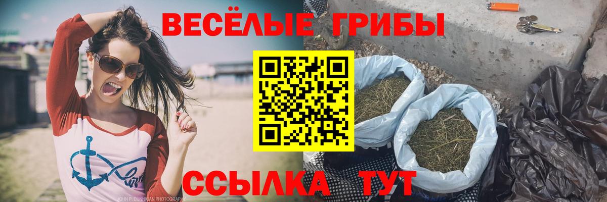 Псилоцибиновые грибы Magic Shrooms Гурьевск