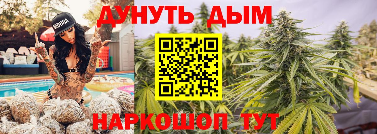 Каннабис OG Kush  Гурьевск  Конопля Ganja  Конопля MAZAR 